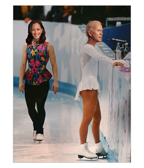 "Tonya Harding / Biden Harris" T-Shirt