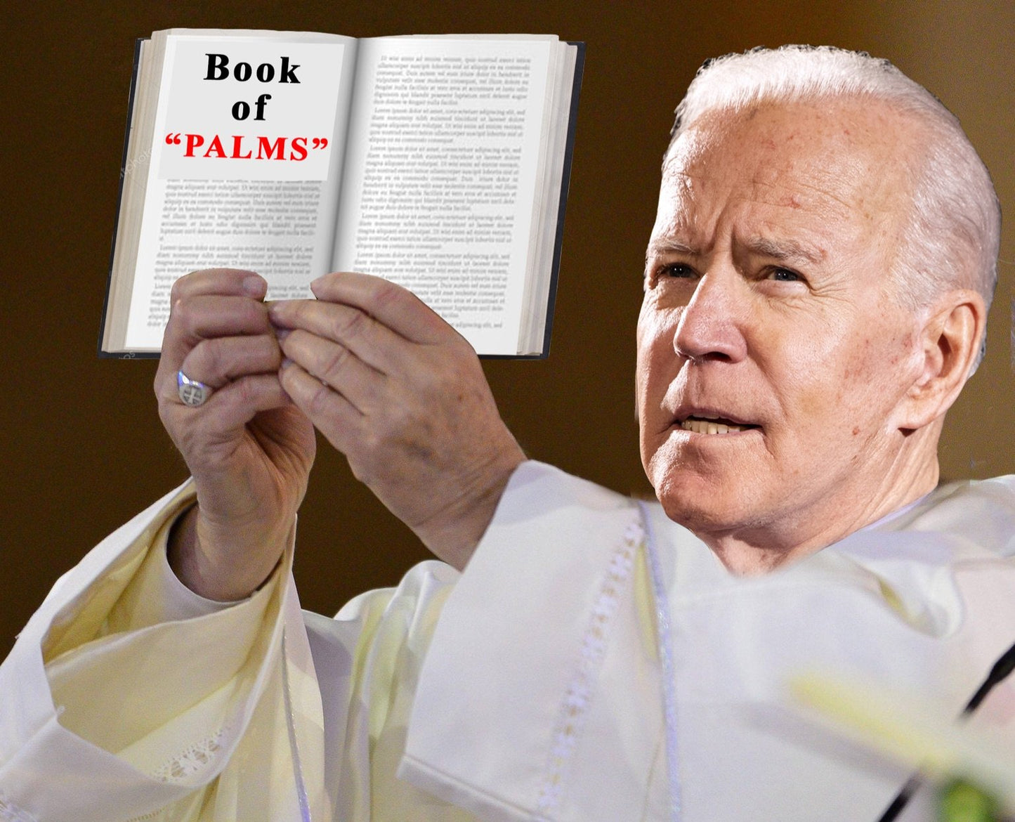 "Book of Palms" T-Shirt