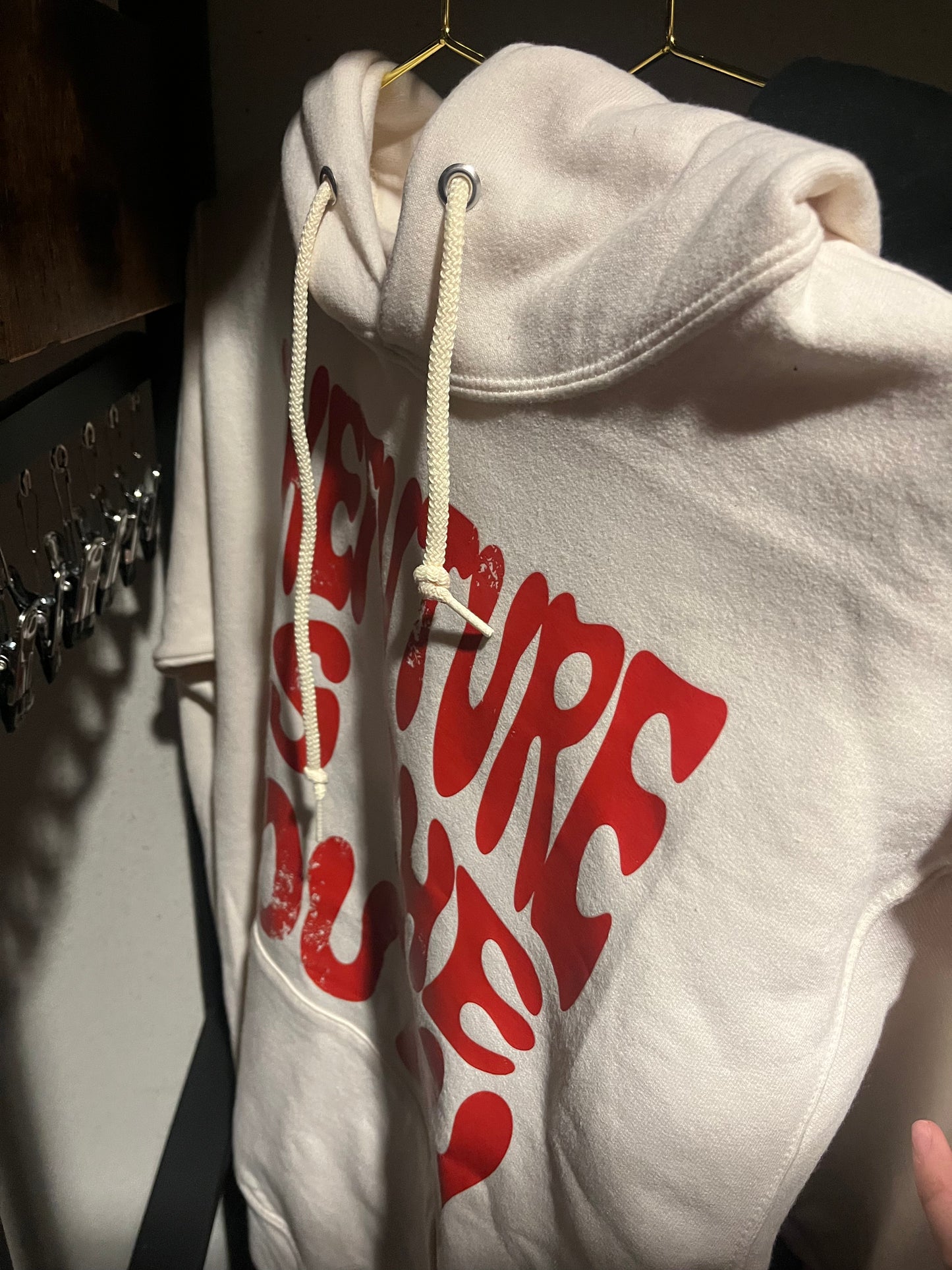 Future is youth hoodie
